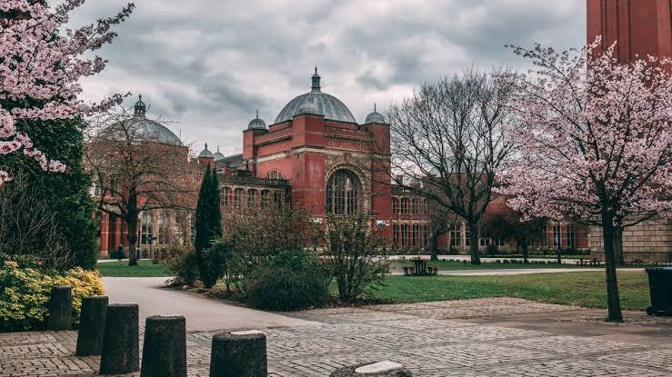 How University of Birmingham Prepares You for Work